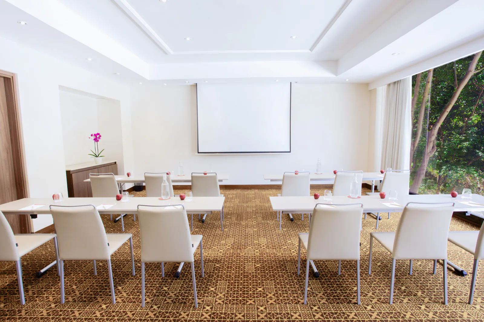 Salón muy pequeño con un ventanal a un jardin a un lado. Hay dos filas con 4 de mesas, organizadas de forma vertical mirando hacia una pantalla de videobeam. Hay un lindo tapete color caoba y una matera con una orquídea.