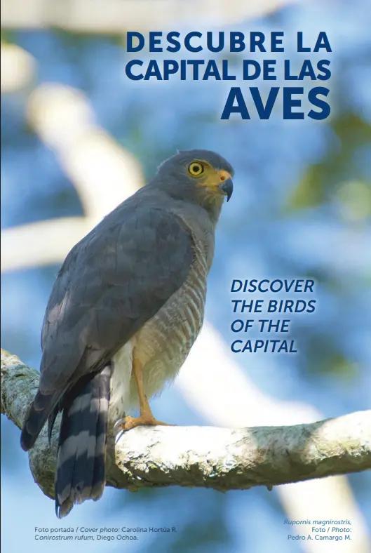 Aves de Bogotá 