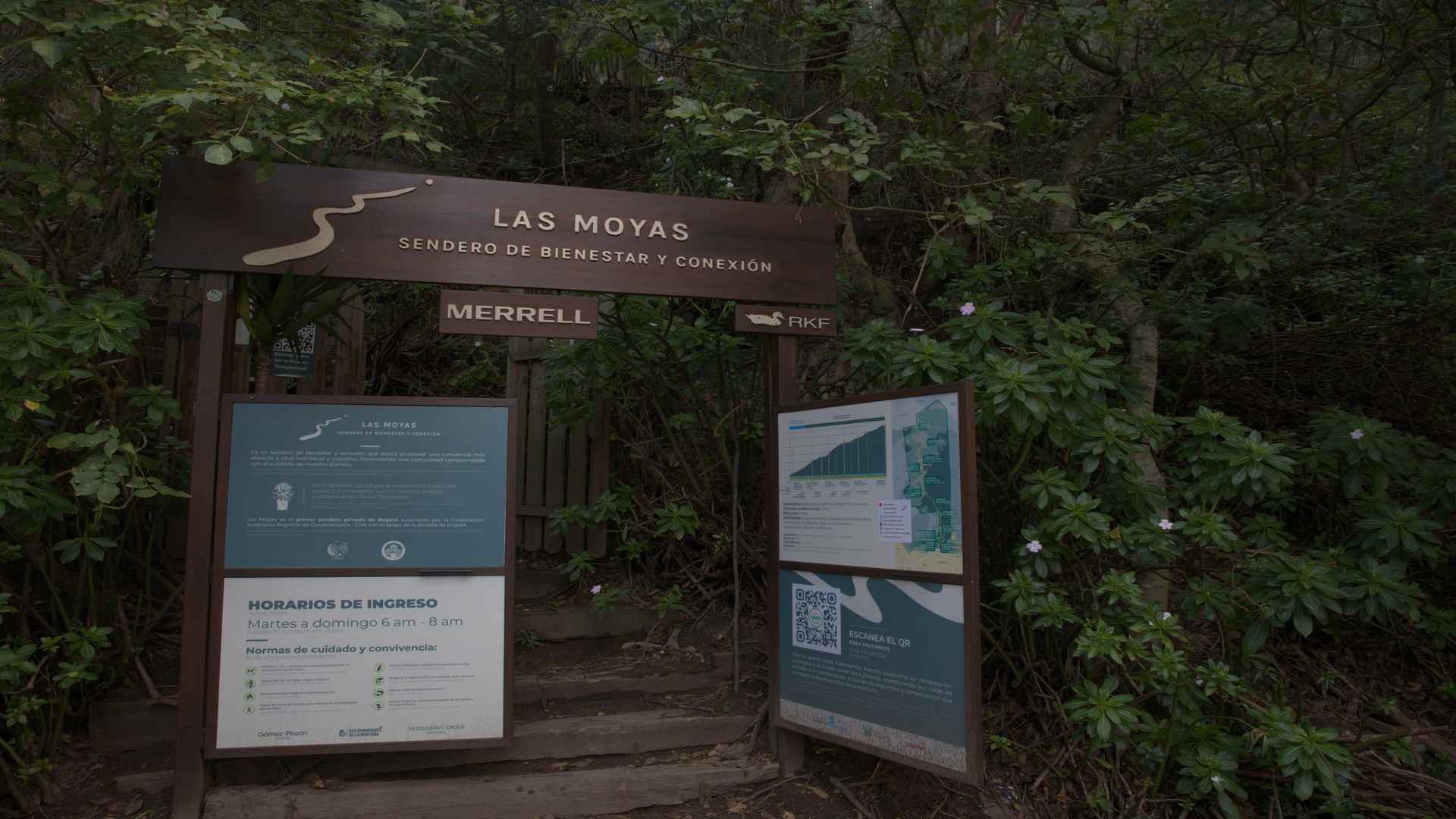 El sendero de Las Moyas es una puerta de entrada a un ecosistema de montaña que conecta directamente con el páramo de Sumapaz. Foto: Kevin Molano - IDT