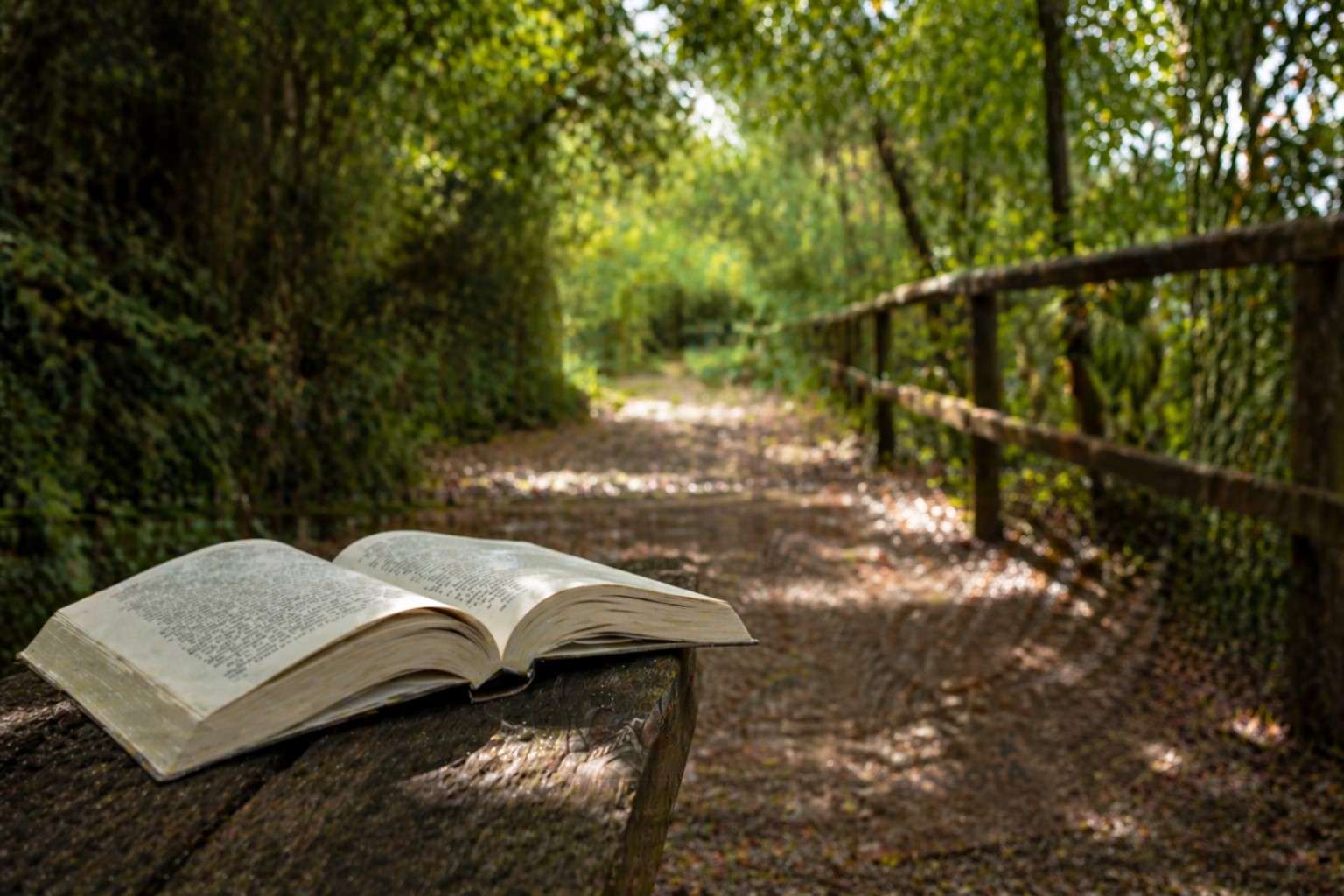 Bogotá es un escenario natural para la lectura. Foto: IDT con IA
