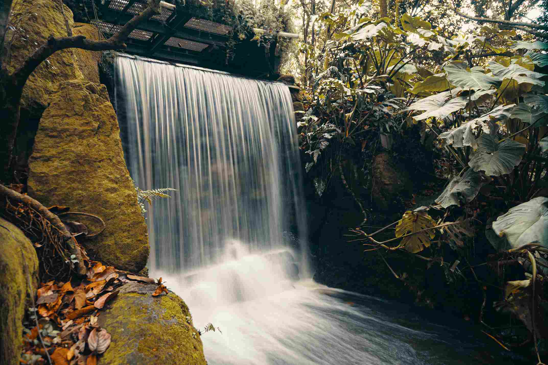 El Jardín Botánico es un escenario especial para la meditación y el bienestar. Foto: Ricardo Báez - IDT