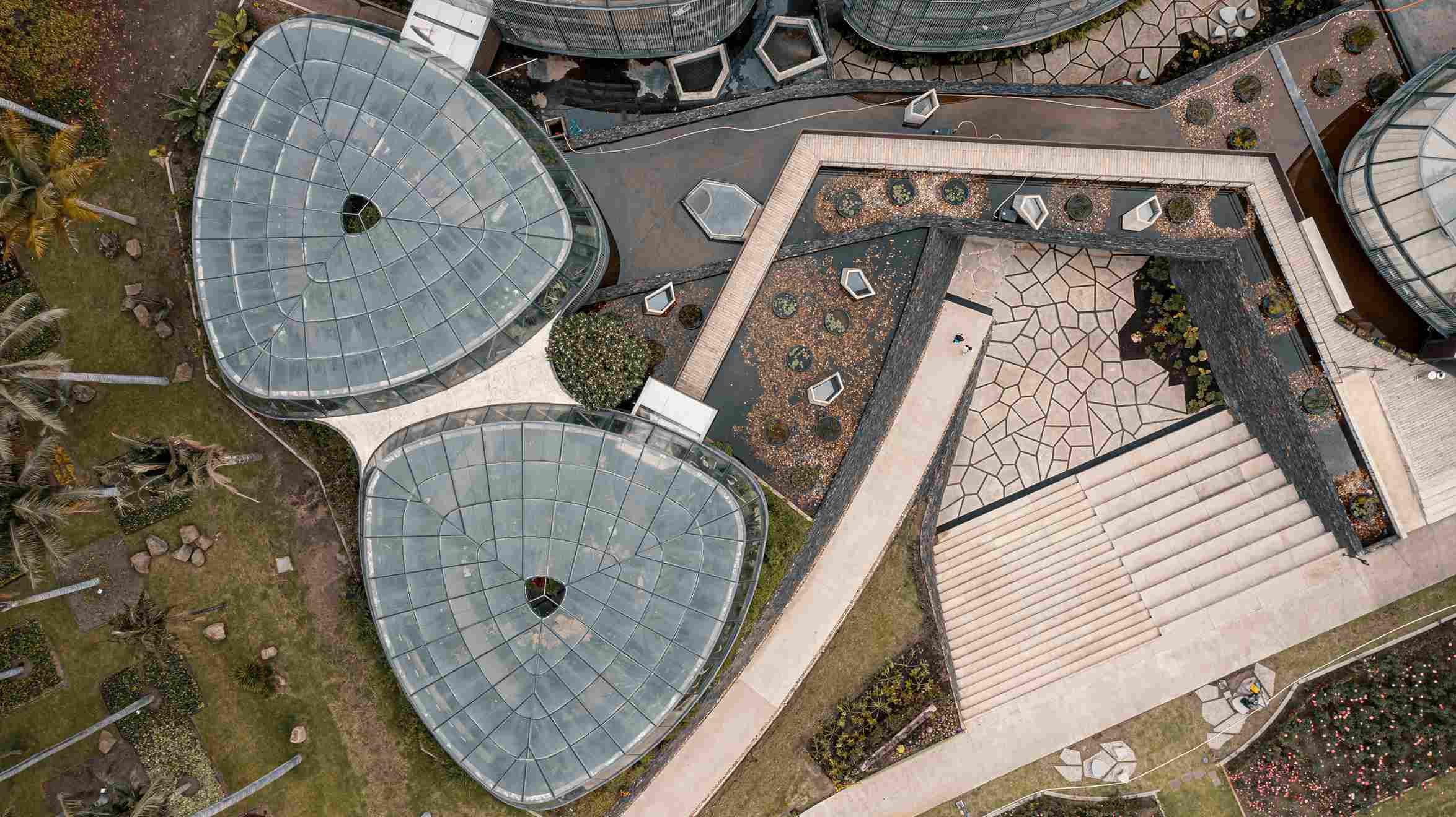 El Jardín Botánico de Bogotá es un importante centro de investigación dedicado a la conservación de la biodiversidad altoandina y de páramo. Foto: Ricardo Báez- IDT 