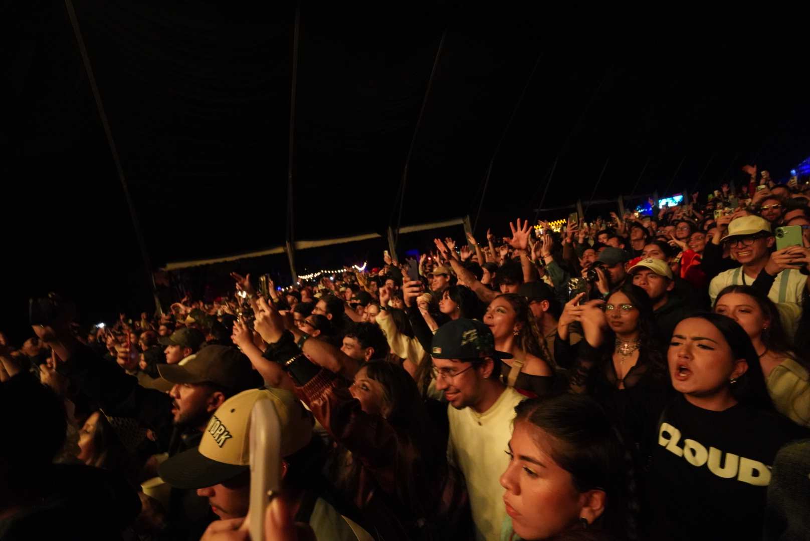 Los conciertos en festivales y parques son otros lugares para bailar sin descanso. Foto: Carlos Viancha. - IDT.
