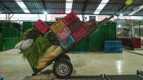 The image shows a two-wheeled handcart loaded with large sacks of herbs or green fodder at the bottom and stacked with several brightly colored plastic crates (red, yellow, blue, pink) on top. The cart is tilted and appears to be in motion or ready to be moved. The background shows the interior of a market or warehouse with a corrugated metal roof, green columns, and more plastic crates stacked to the right. The floor is concrete.