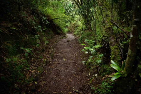 Ruta turística Santa Ana - La Aguadora