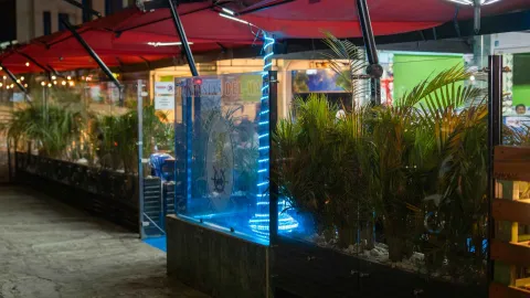  Disfrute de sus alimentos en nuestra zona al aire libre, un ambiente cómodo, iluminado y seguro para su visita.