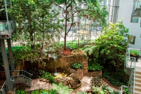 Especie de jardín interior en el que hay varios árboles y otro tipo de vegetación. Se destaca un alto ventanal desde el cual se puede observar hacia la calle. 