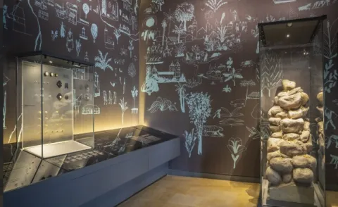 Interior of a museum room with dim lighting. Antique objects, such as metal pieces and a structure of stacked stones, are displayed in glass cases. The dark walls are decorated with illustrations drawn in white lines depicting landscapes, plants, animals, and cultural scenes, creating a historical and educational atmosphere.