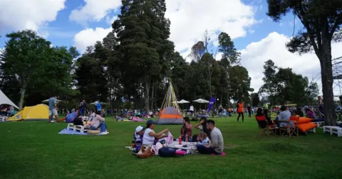 Personas disfrutando de un picnic y actividades al aire libre en un parque, con carpas y árboles alrededor.
