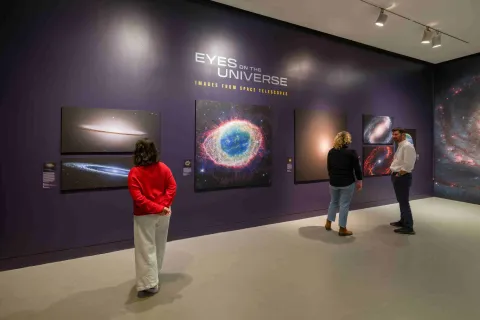 De Nueva York a Bogotá. La ciudad presenta una exposición inédita del American Museum of Natural History