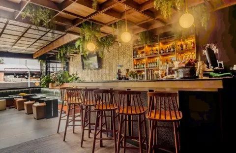 Interior de Isola Trattoria Bar con barra de madera, iluminación cálida, vegetación colgante y mobiliario moderno en un ambiente elegante y acogedor.