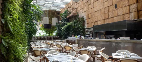 Interior de Café Amarti con amplio comedor, abundante vegetación, paredes de madera, iluminación natural y una elegante barra central.