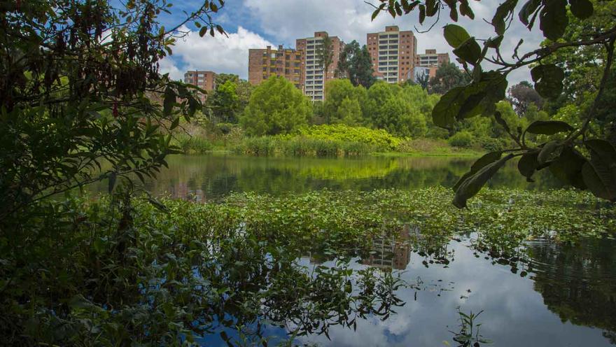 Humedal Córdoba de día con amplio lago de rodedo de vegetación, árboles frondosos y unos edificios modernos al frente que se reflejan en el agua.