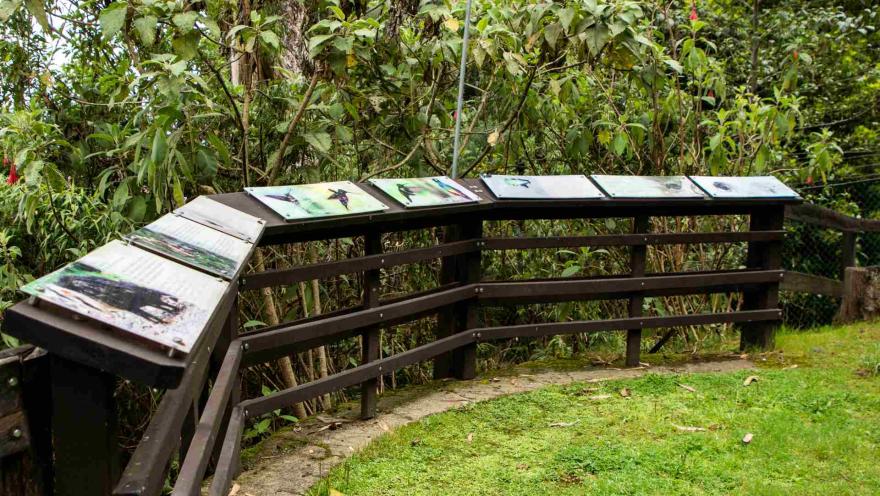 Sendero El Paramuno con estructura semi circular de madera con avisos informativos y fotografías de animales, rodeada de árboles frondosos.