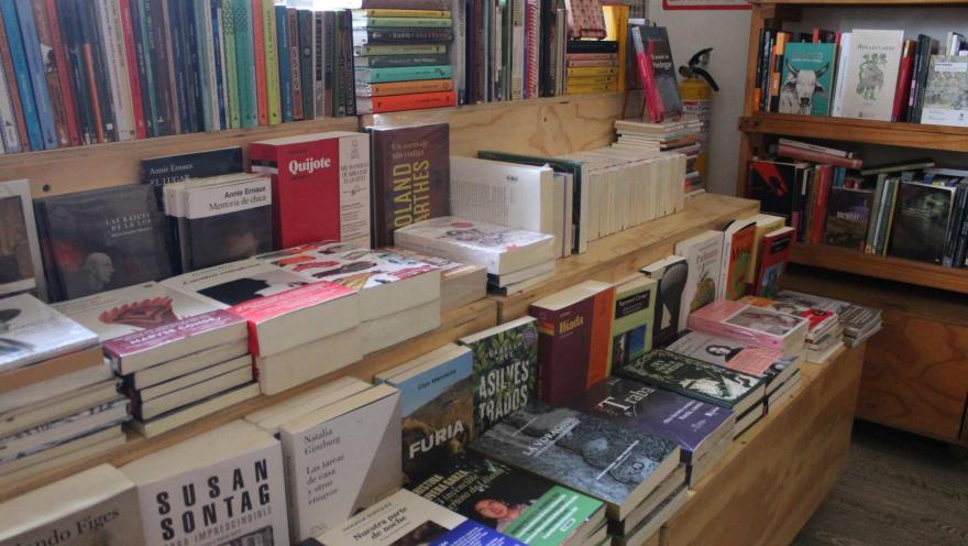 Garabato Libros, plano general de libros organizados en estantería de madera y de tres niveles. 