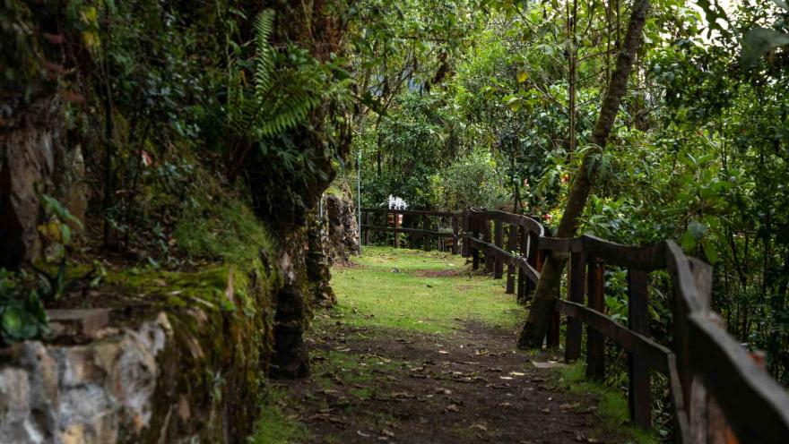 Sendero El Paramuno con camino de tierra demarcado con cerca de madera y piedras grandes, rodeado por árboles y vegetación.