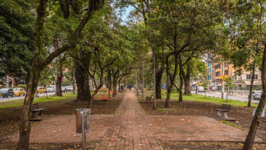 Park Way dentro del corredor arborizado con un camino de ladrillos y una silla de madera y concreto a lado y lado y una caneca metálica colgada de un árbol. A la ixquierda se ve una calle concurrida por vehículos particulares y taxis.