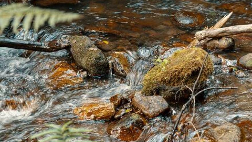 Sendero San Francisco - Vicachá cascada profusa a pozo de agua con vegetación alrededor