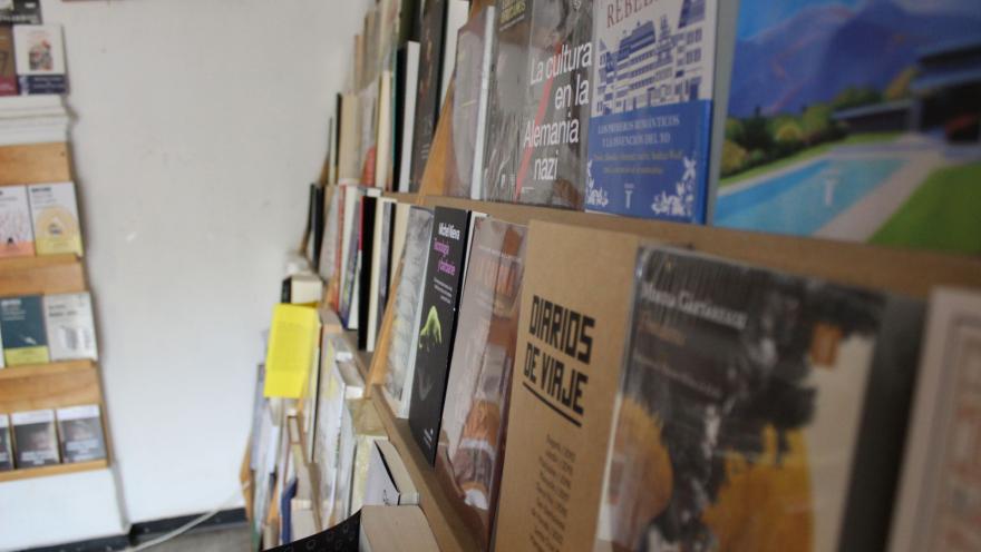  Garabato Libros primer plano en lateral a la derecha de libros puestos sobre estantería de madera. Se alcanzan a leeer algunos títulos.