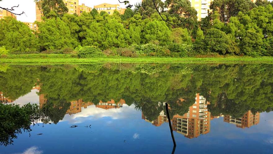 Humedal Córdoba agua del lago reflejando edificios al fondo, árboles y el cielo azul.