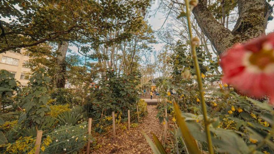 Park Way dentro de una huerta en medio de vegetación y árboles frondosos, en lo que destaca una flor rosada. Al fondo se ven a personas caminando.