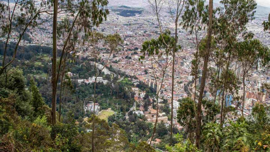 Sendero El Paramuno con vista desde una cima o risco del suroriente de la ciudad con árboles altos y frondos alrededor.