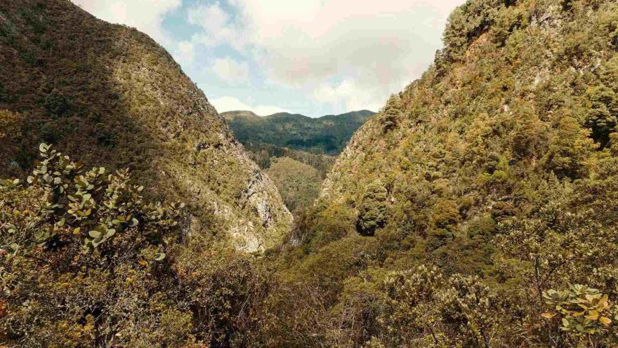 Sendero San Francisco - Vicachá vista entre dos montañas hacia otra montaña. Gran vegetación.