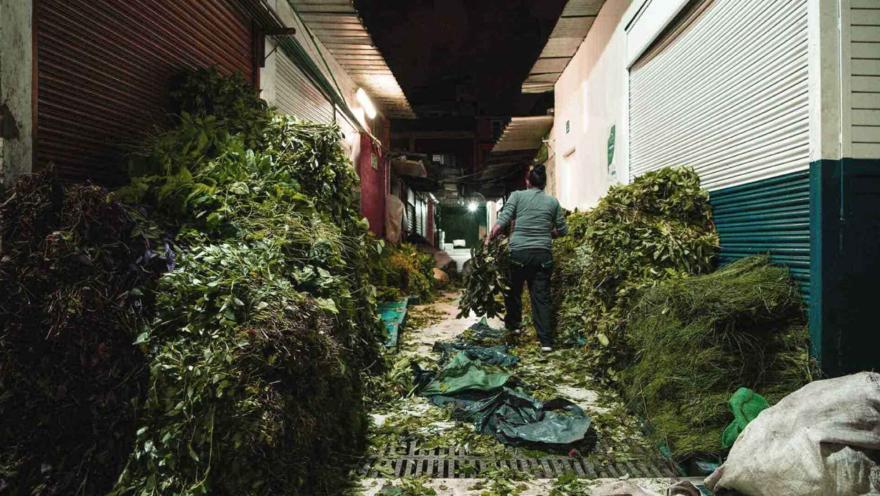La imagen muestra un pasillo oscuro y estrecho de un mercado o almacén, flanqueado por inmensos montones de hierbas y hojas verdes secas o frescas, apiladas casi hasta el techo. Un hombre de espaldas, vestido con una camisa gris y pantalones oscuros, camina por el centro del pasillo, cargando un manojo de hierbas. El suelo está cubierto de hojas sueltas y residuos, y las paredes tienen persianas enrollables cerradas, lo que sugiere que los puestos están cerrados o en proceso de limpieza.