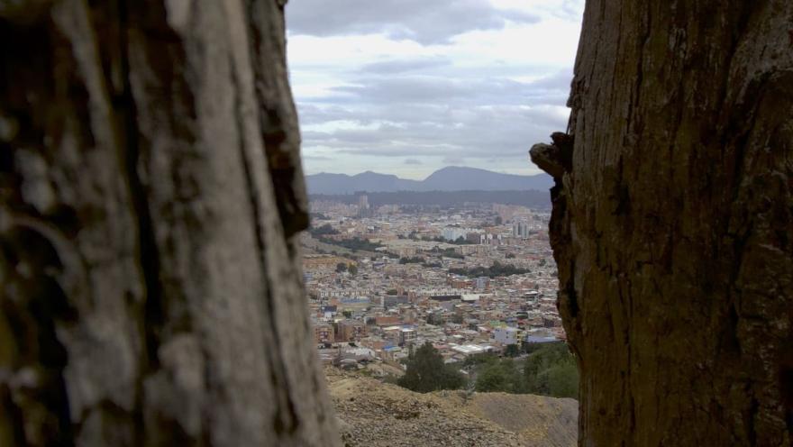 Vista de la ciuad entre dos troncos de madera.