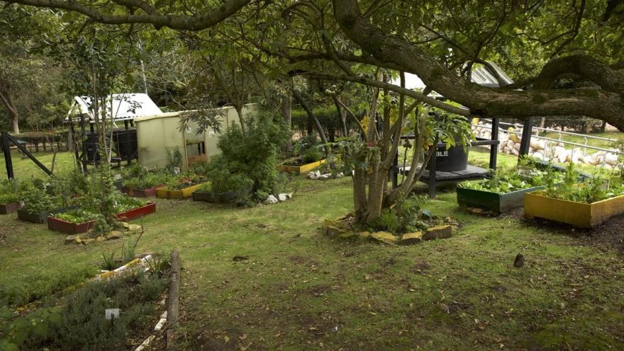 Finca con árboles, plantas, sembradío y huerta.