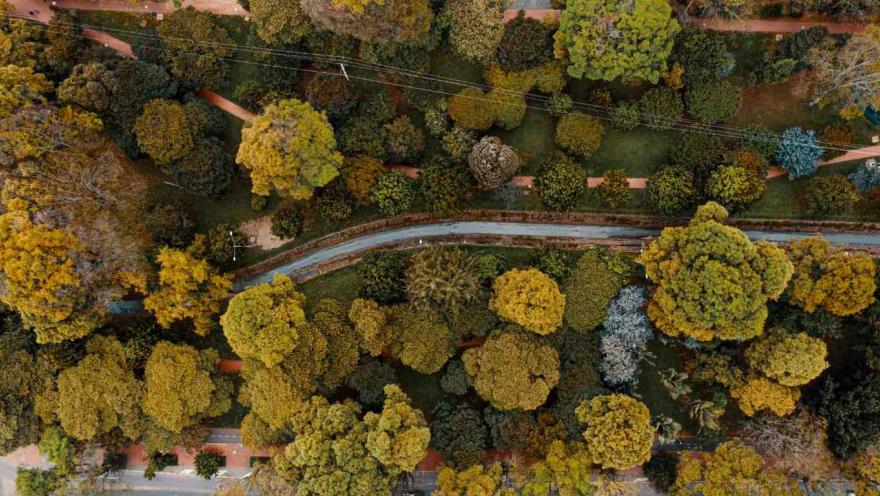 Park seen from above with a long water pipe in the center. It is surrounded by many leafy trees.