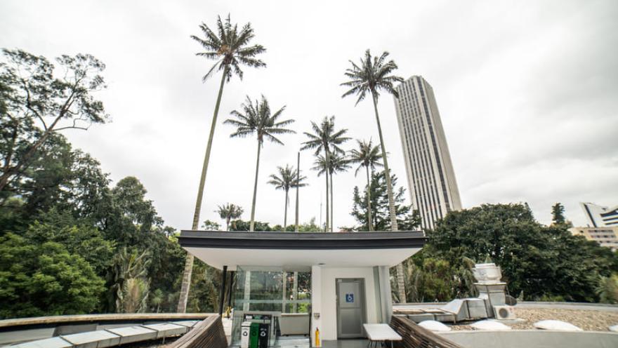 Exterior de una terraza en la que sobresalen árboles y palmeras altas. Al fondo se ve en lo alto una torre de edificio muy alta.