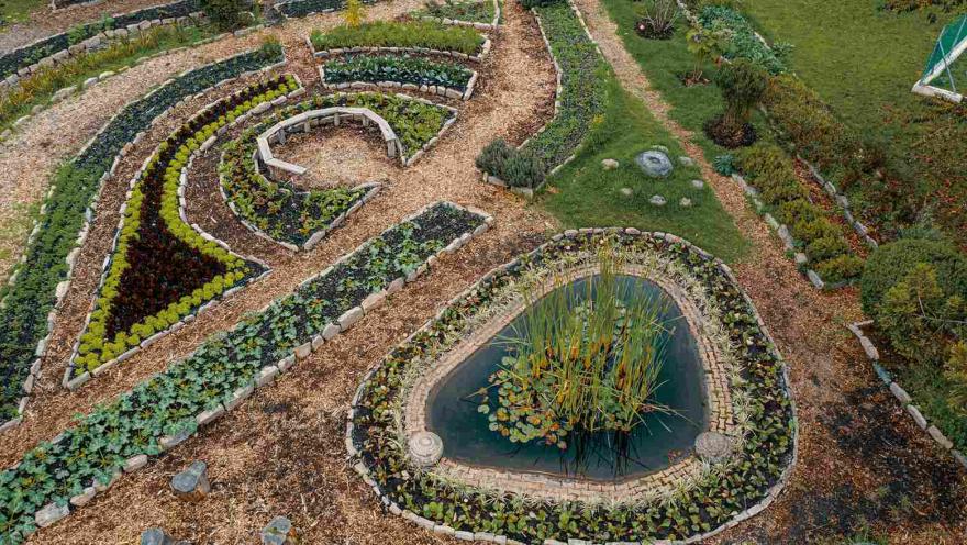 Jardín visto desde arriba en el que hay varias flores organizadas en círculos y rectangulos.