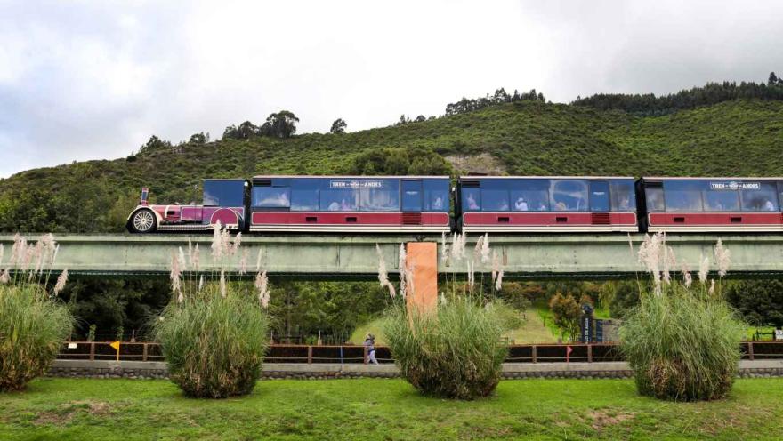 Un tren aéreo pasando por el monoriel. Al fondo hay una montaña.