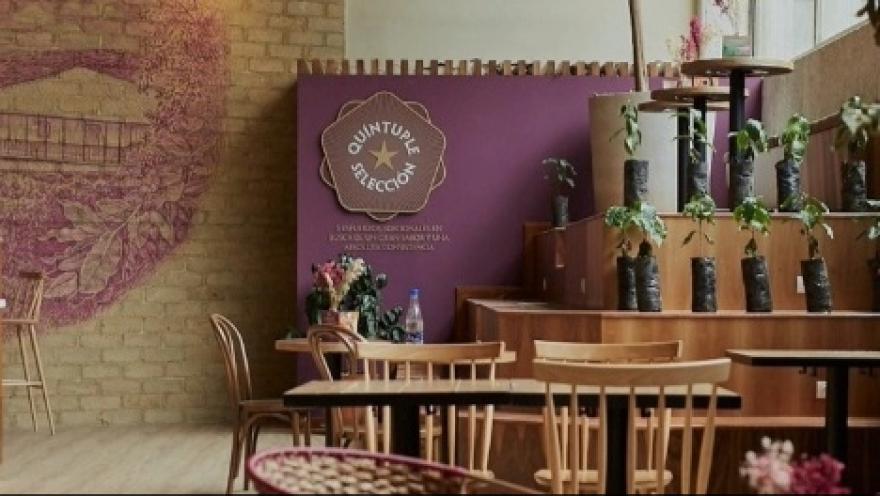 The interior dining room of a restaurant, surrounded by small plants, wooden tables, and chairs.
