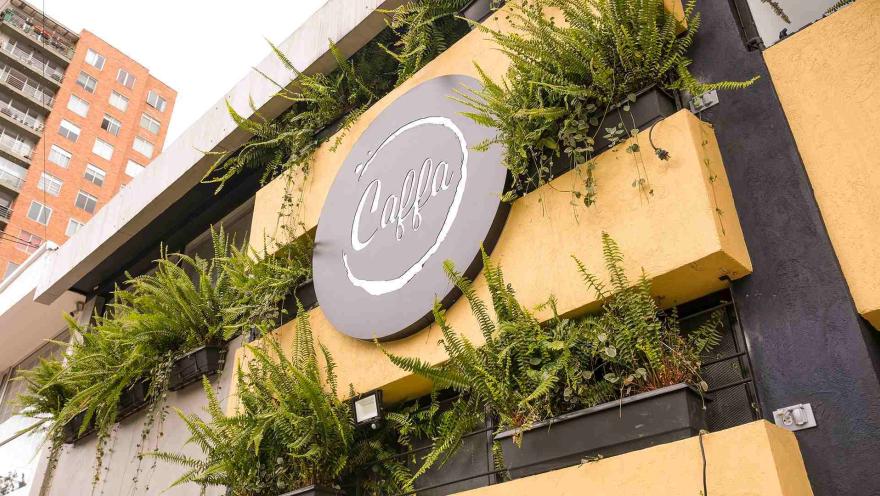 Exterior moderno de la cafetería Caffa con un gran logo circular y jardineras llenas de helechos verdes.