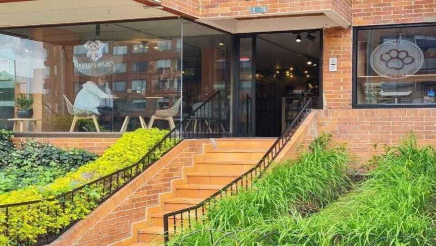 La entrada de "Huellas & Café", un lugar pet-friendly con una encantadora escalera y mucha vegetación. Pie de foto: Tu destino ideal para un café y un momento con tu mascota. ¡Te esperamos!