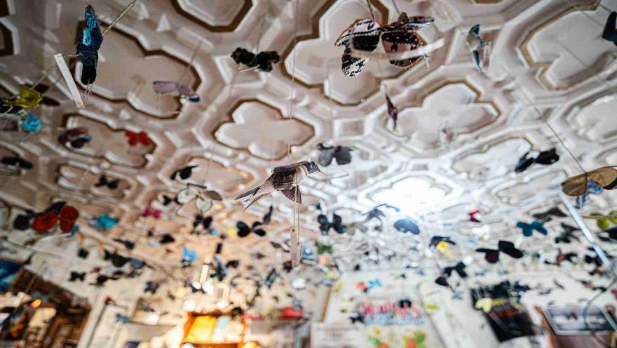 Techo de una habitación, decorado con mariposas y pájaros artificiales y de distintos colores. Todos cuelgan de hilos pegados al techo.