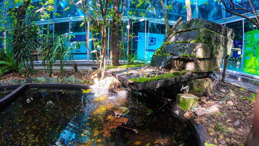 Un salón interior donde hay vegetación y una fuente de agua, cubierto por ventanales de vidrio.