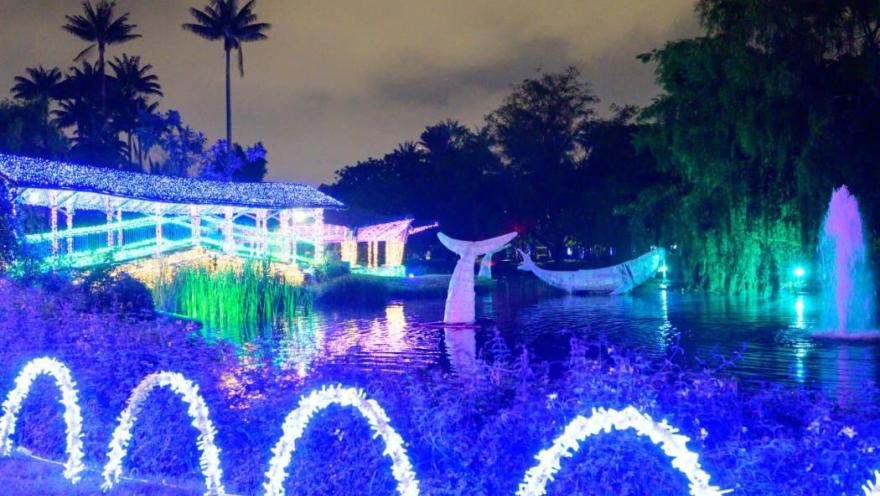  Alumbrados en forma de peces en un lago, en un jardín de noche. 