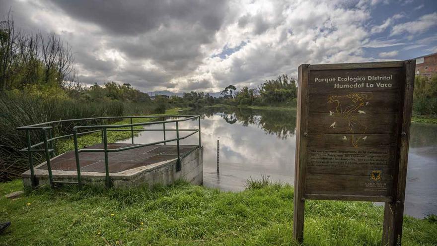 Un espejo de agua en medio de vegetación. Destaca un cartel en madera con una leyenda que dice: “Parque Ecológico Distrital Humedal La Vaca”