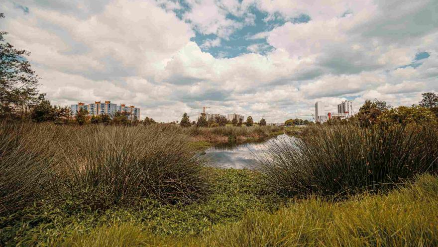  Campo abierto en el que sobresale un espejo de agua como un lago rodeado de vegetación y unos edificios muy al fondo.
