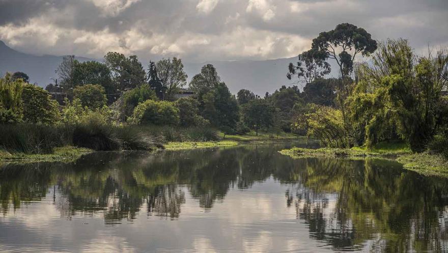Un gran espejo de agua como un lago rodeado de vegetación.