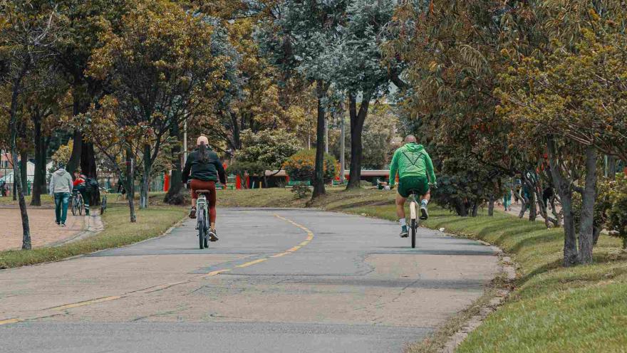  Un hombre y una mujer montados en bicicleta van por una vía entre un parque.