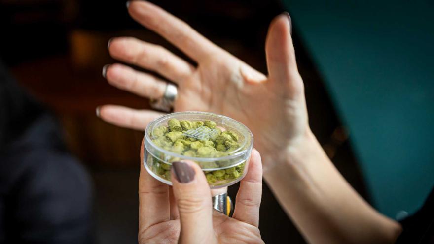 Una mano sostiene una pequeña caja transparente con pellets de lúpulo, mostrando un ingrediente clave en la cerveza. 