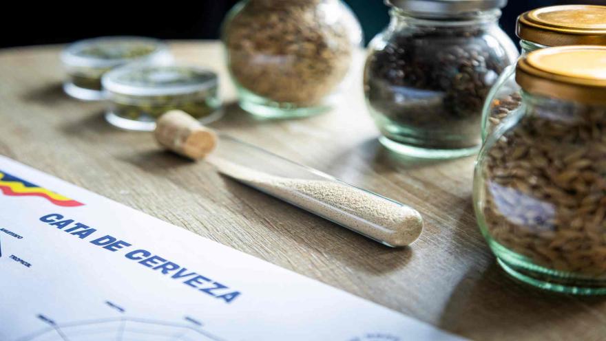 Ingredientes para la elaboración de cerveza, como cebada y levadura, junto a un documento de cata de cerveza. 