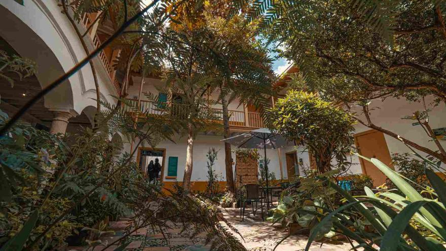 Panorámica interior del museo en el que se observa un patio con jardín y mucha vegetación.