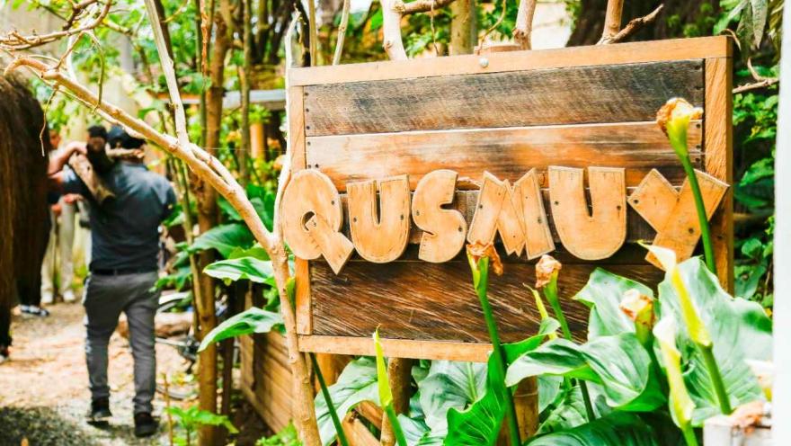 Una especie de jardín en la que sobresale una estructura de madera como un aviso y una leyenda que dice: "Qusmuy". 