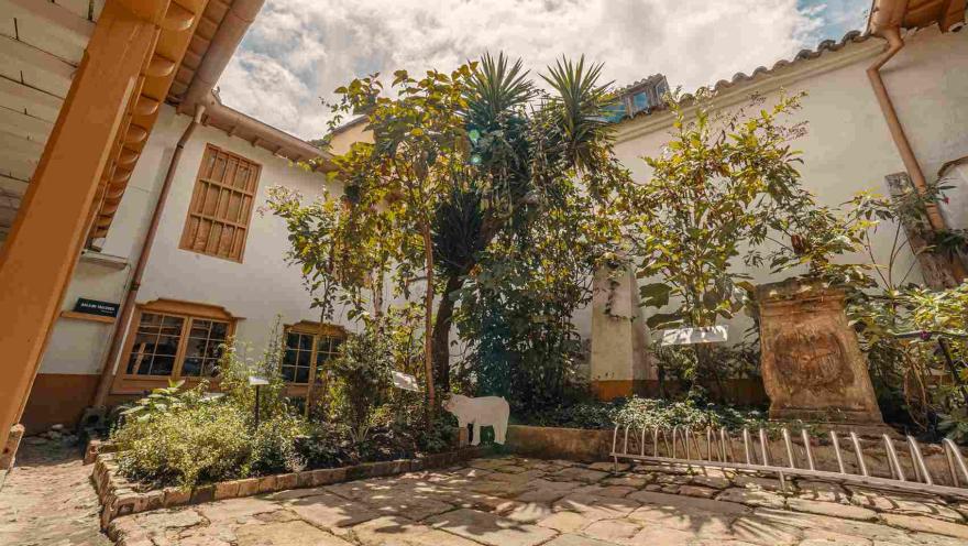 Plano general de jardín interior en el que se observan árboles y otras vegetaciones, un bicicletero y una silueta como de un cerdo o un perro.