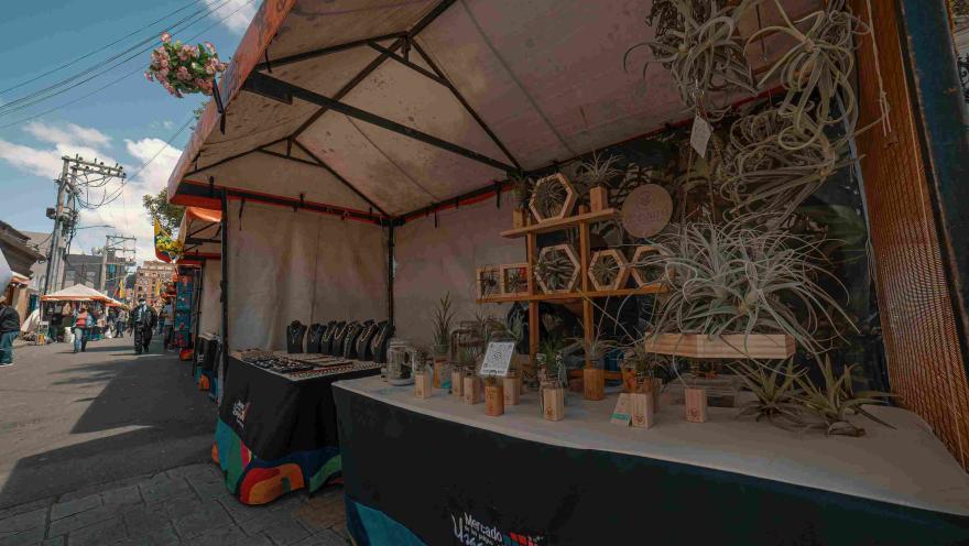 Primer plano de un toldo de comercio con artesanías y plantas.